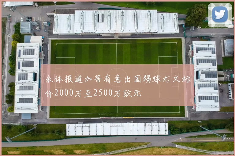 米体报道加蒂有意出国踢球尤文标价2000万至2500万欧元