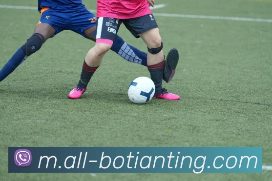 数据防护可视化